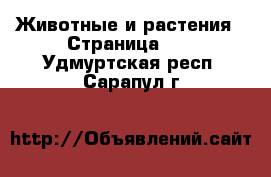  Животные и растения - Страница 10 . Удмуртская респ.,Сарапул г.